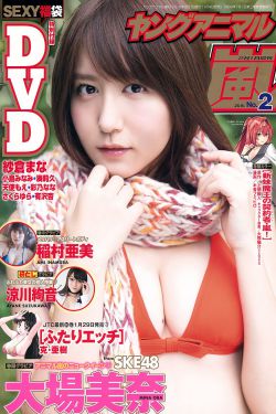 精品视频一二三四区v